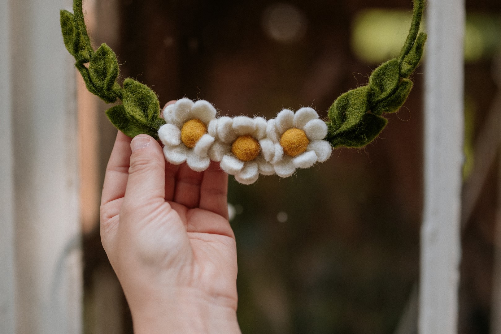 Weiße Fiz Blüten wie Margeriten