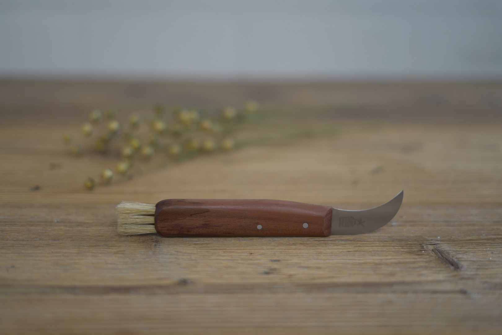 Pilzmesser Windmühlenmesser