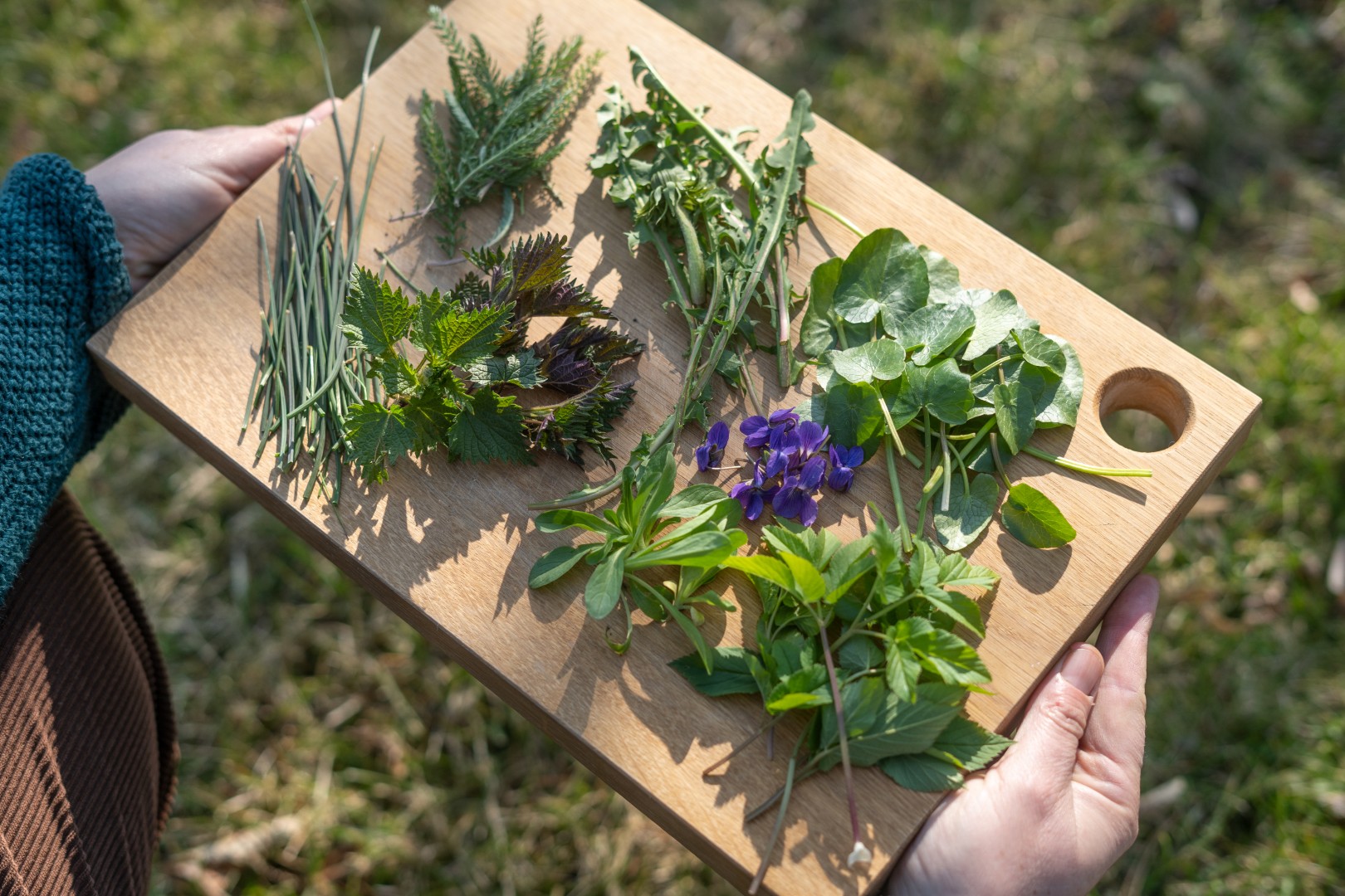 Wildkräuter sammeln im Frühling