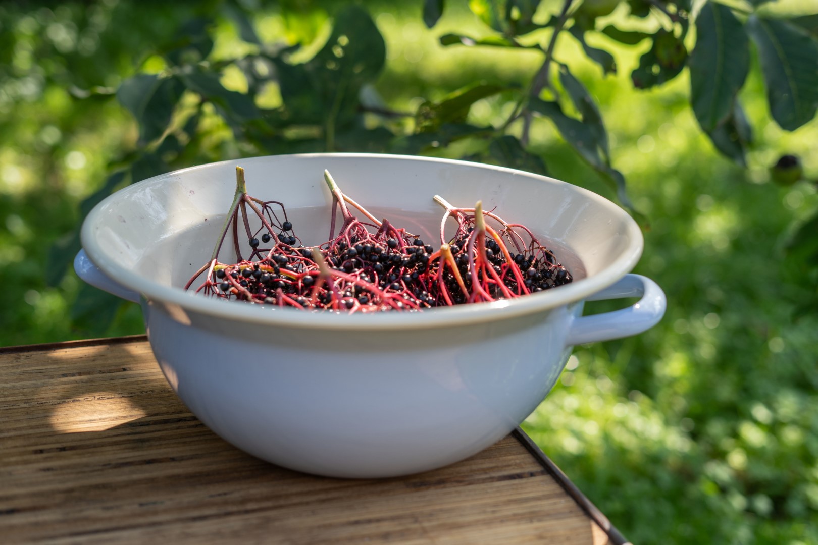 Emaille Weitling mit Holunderbeeren