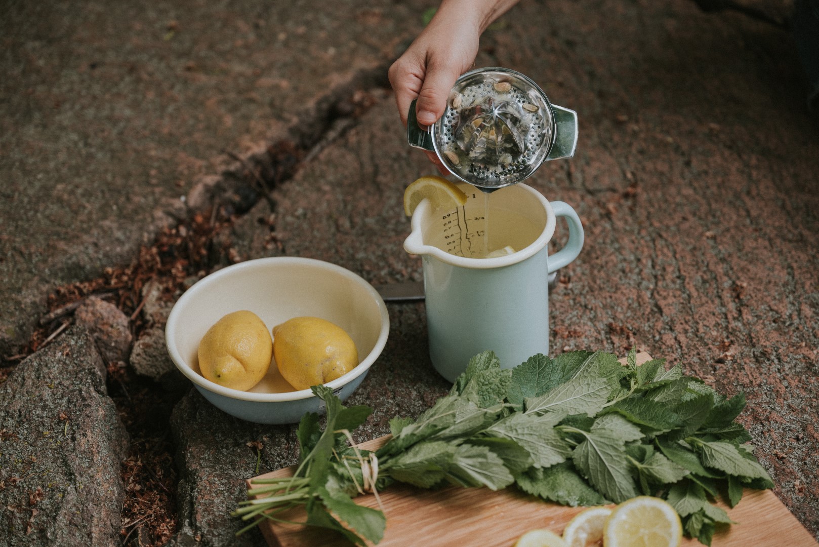 Zitruspresse für Limonade