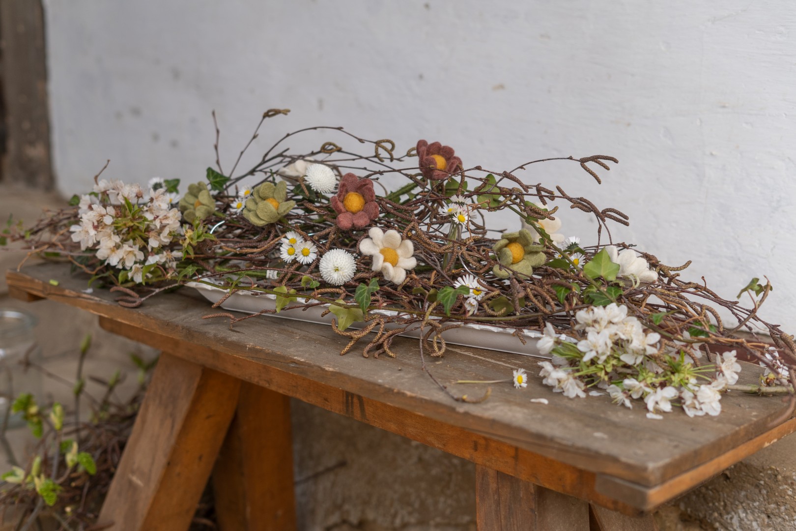 Filzblühte Anemone verschiedene Farbe