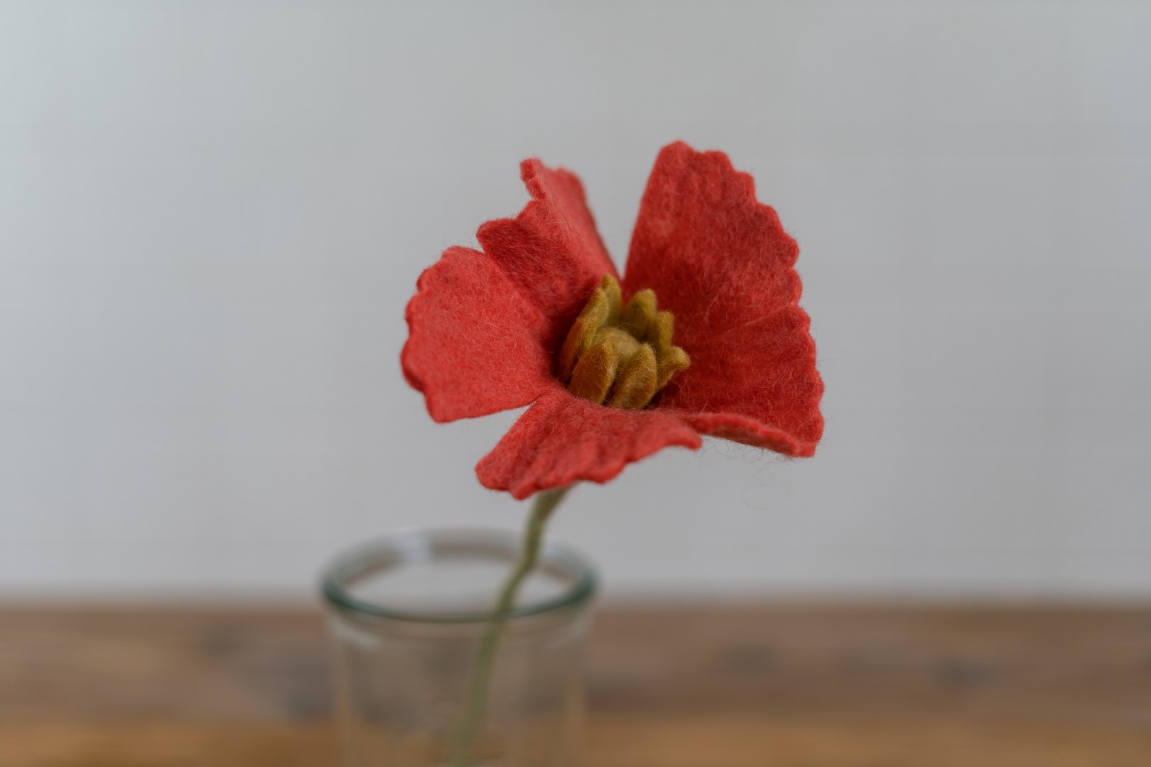 Große Blüten Mohnblume