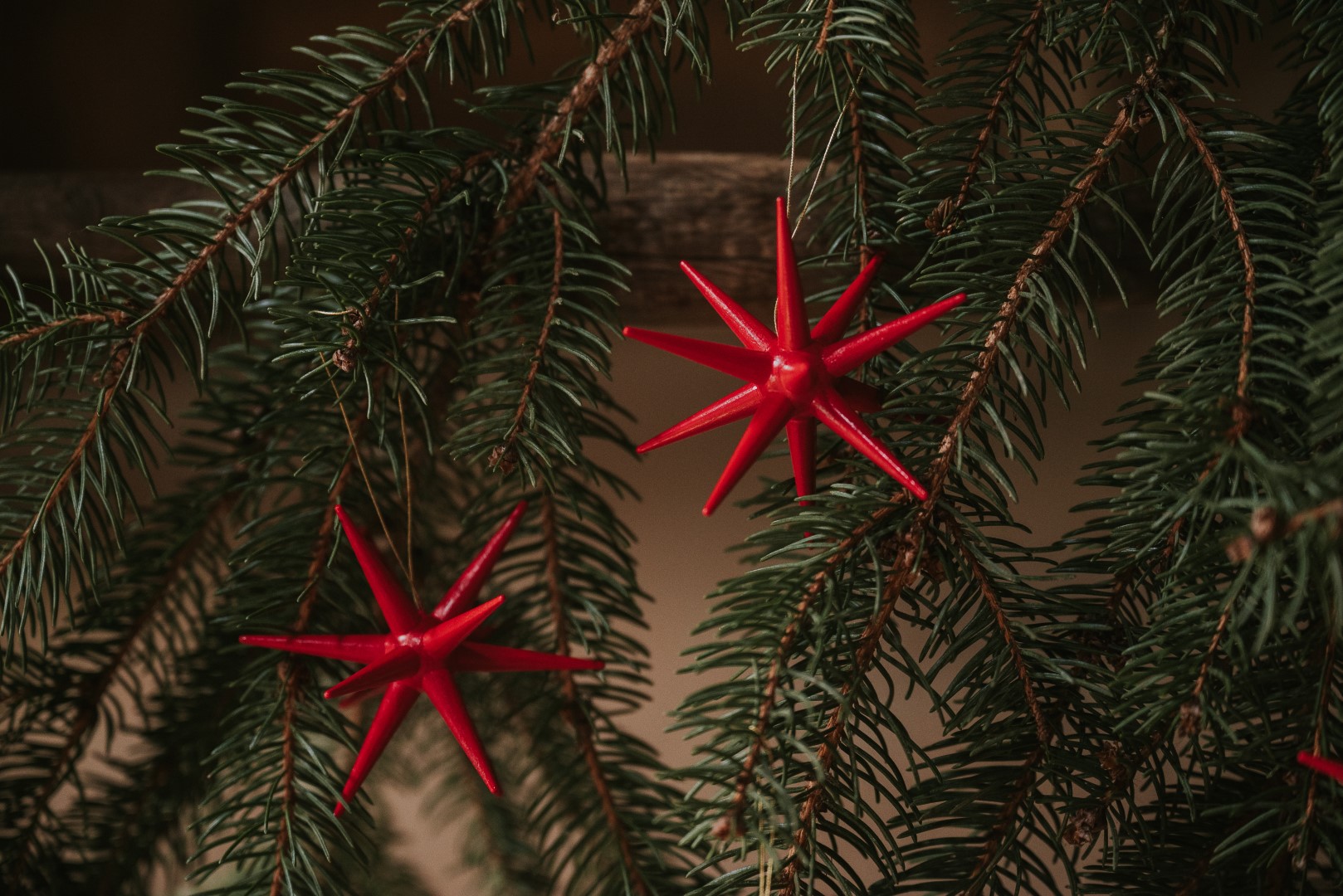 Erzgebirge Sterne an Tannengrün