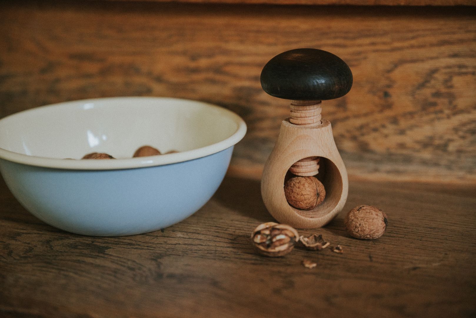 Nussknacker Pilz Buche