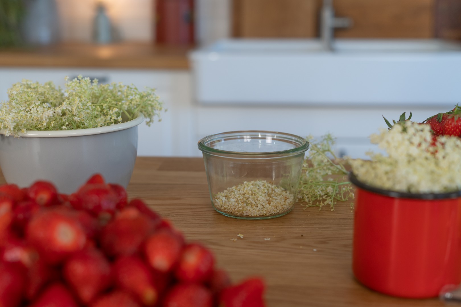 Frisch gezupfte Holunderblüten