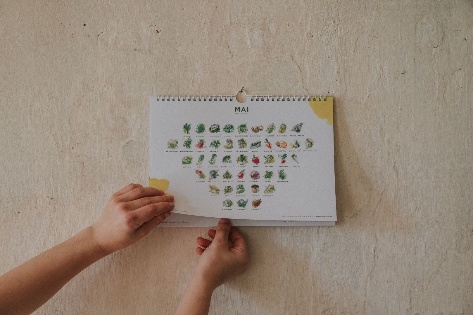 Saisonkalender Mai zum Aufhängen