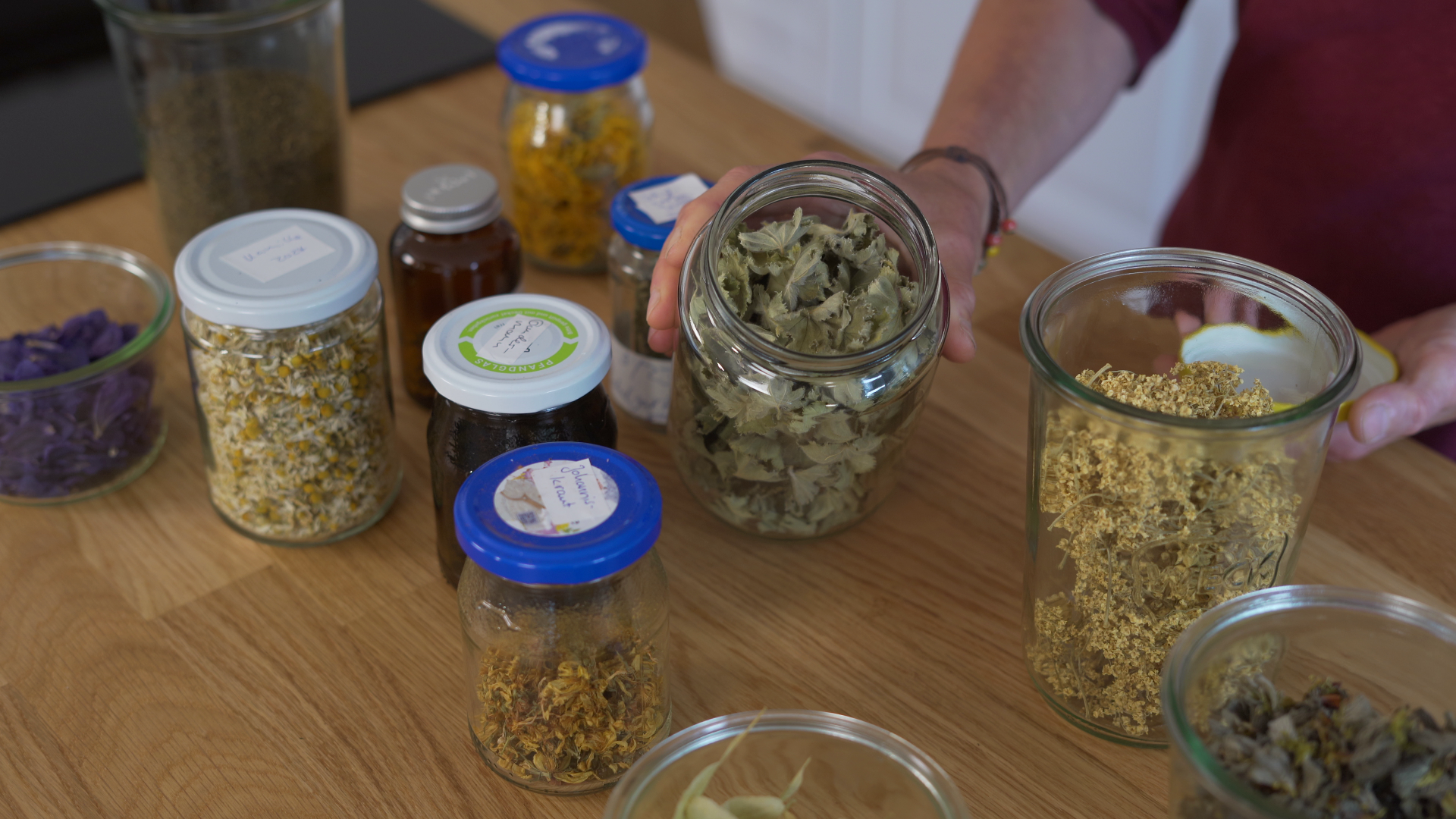 Wildkräuter Kochkurs