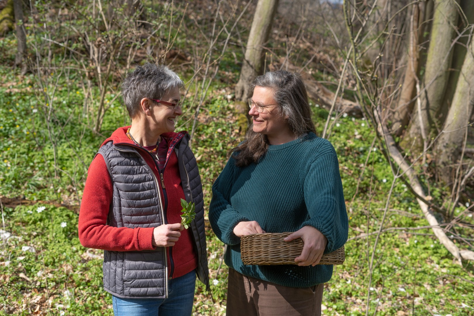 Kräuterkurse aus Sachsen