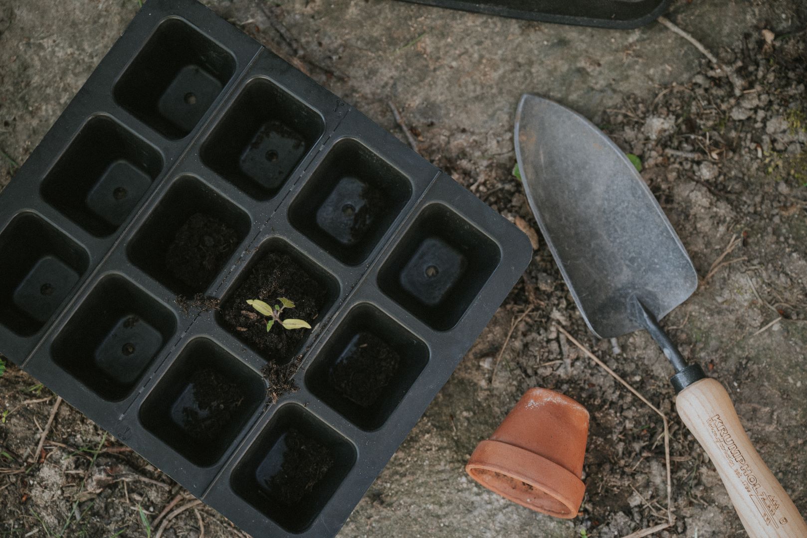 Anzuchtschale plastikfrei und fair