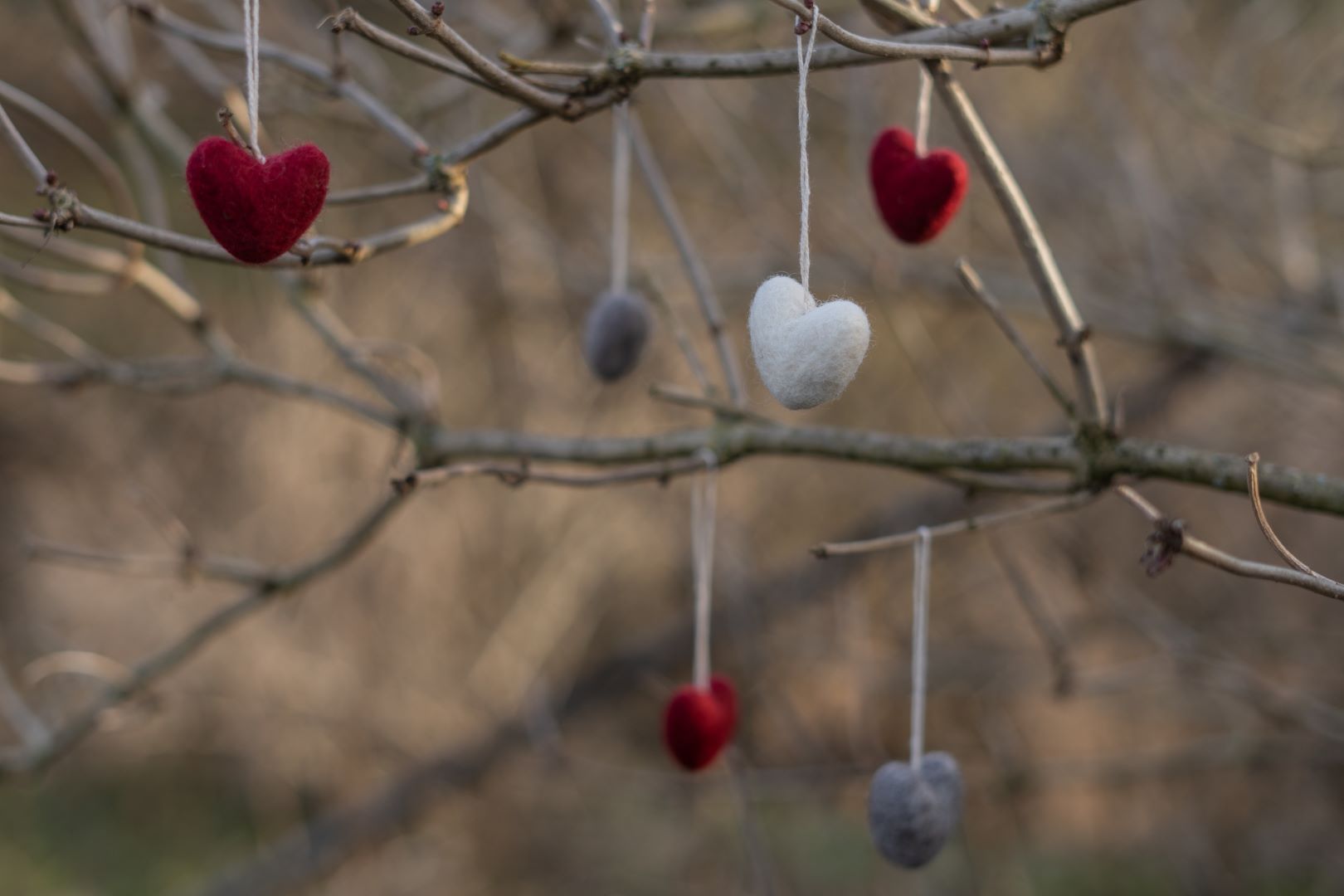 Anhänger Filz-Herzen