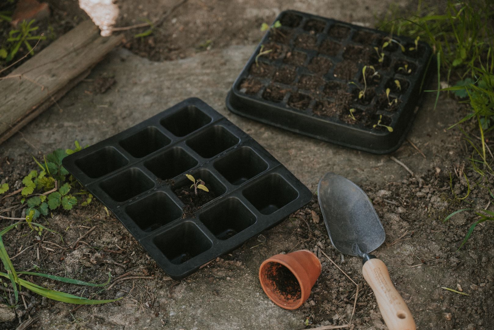 Anzuchtschale Naturkautschuk 