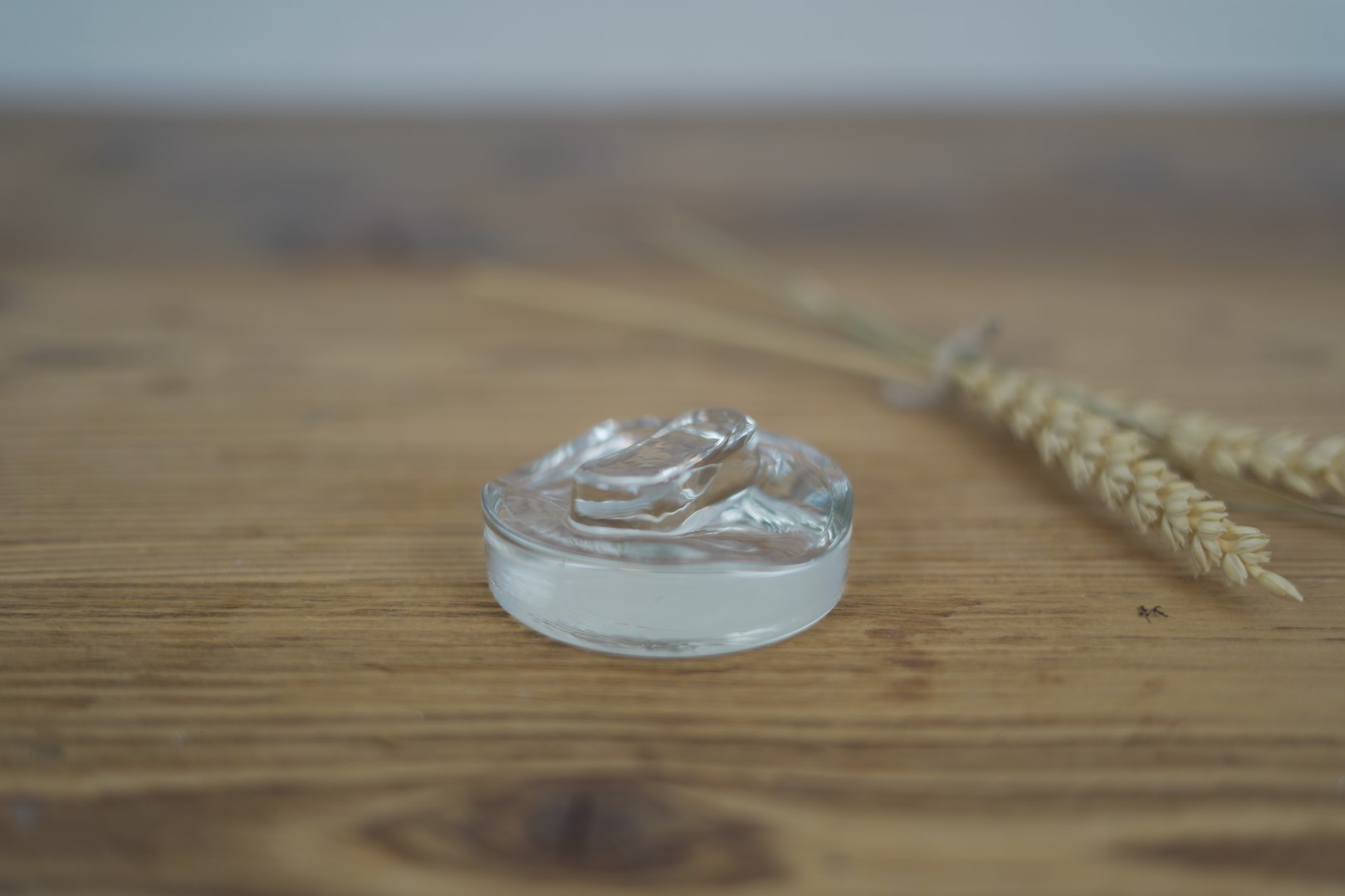 Fermentation Gewicht aus Glas