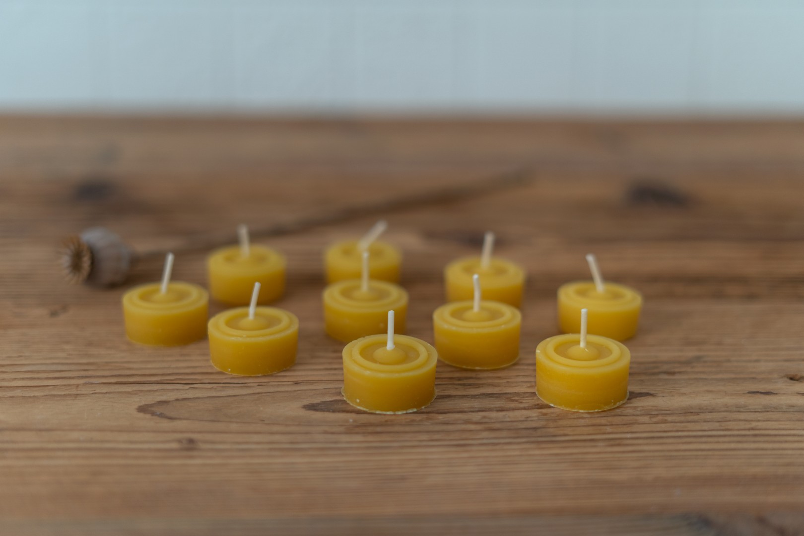 Teelichter aus Bienenwachs - 10 Stück
