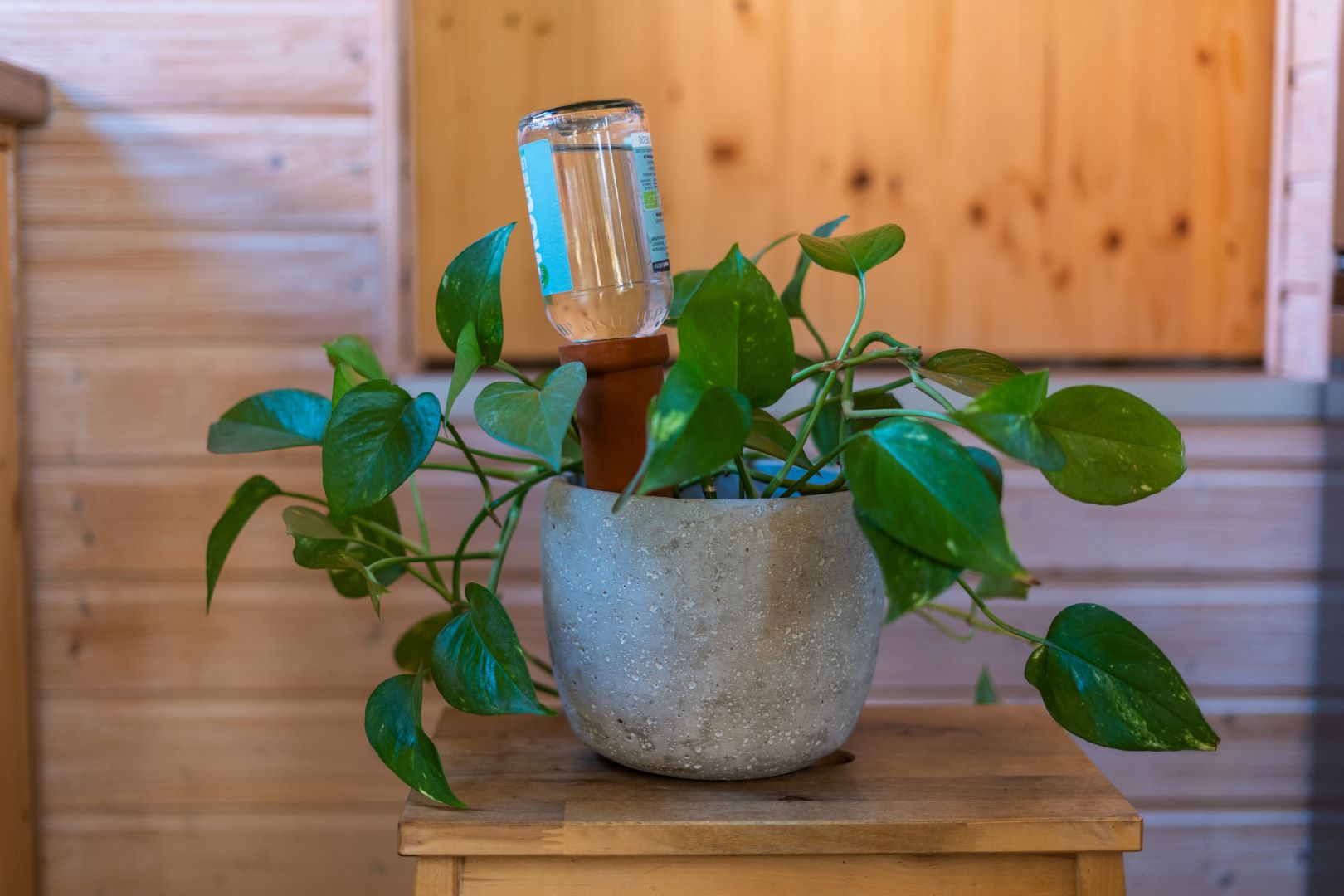 Pflanzenbewässerung Ton