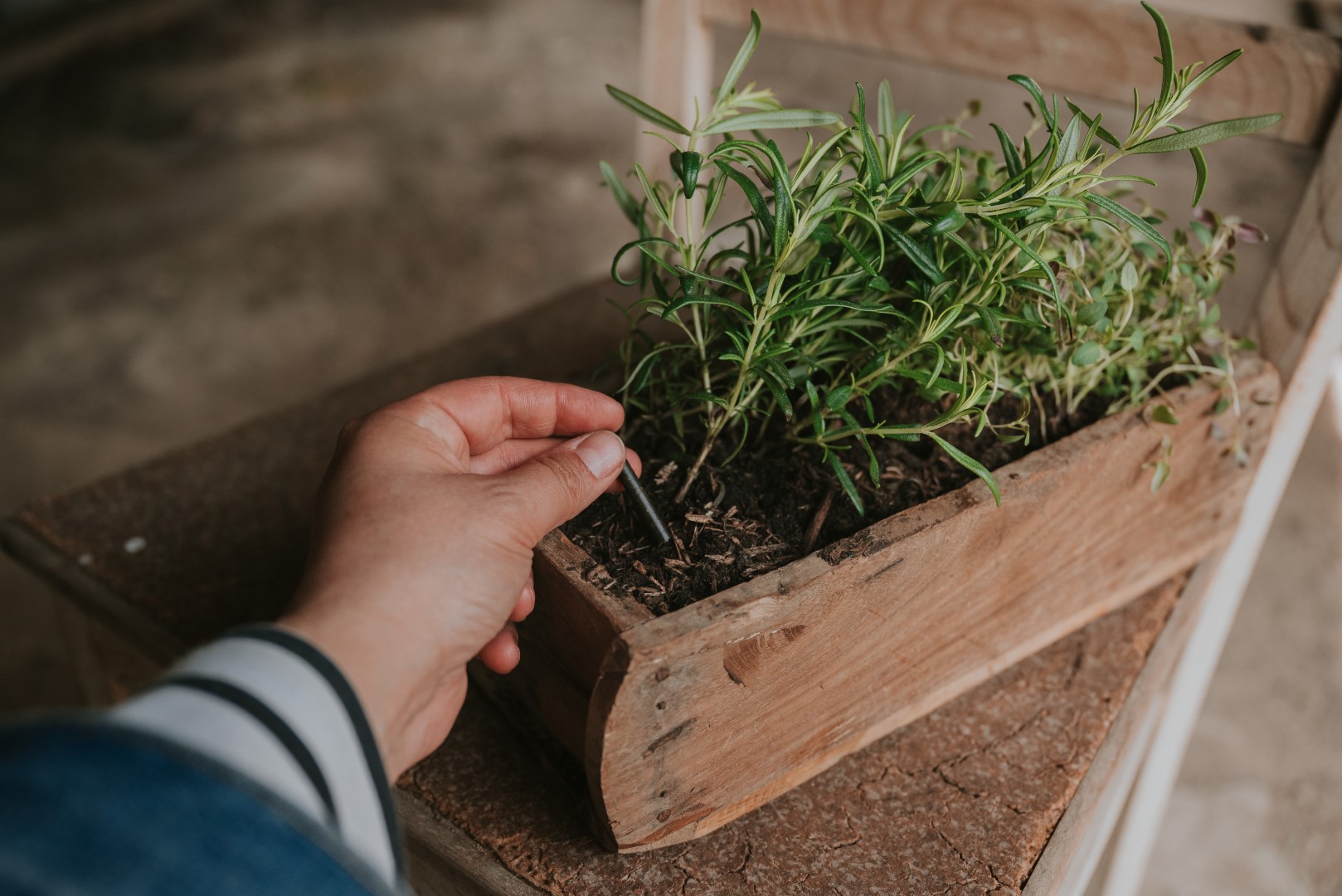 Düngestäbchen Bio Kräuter