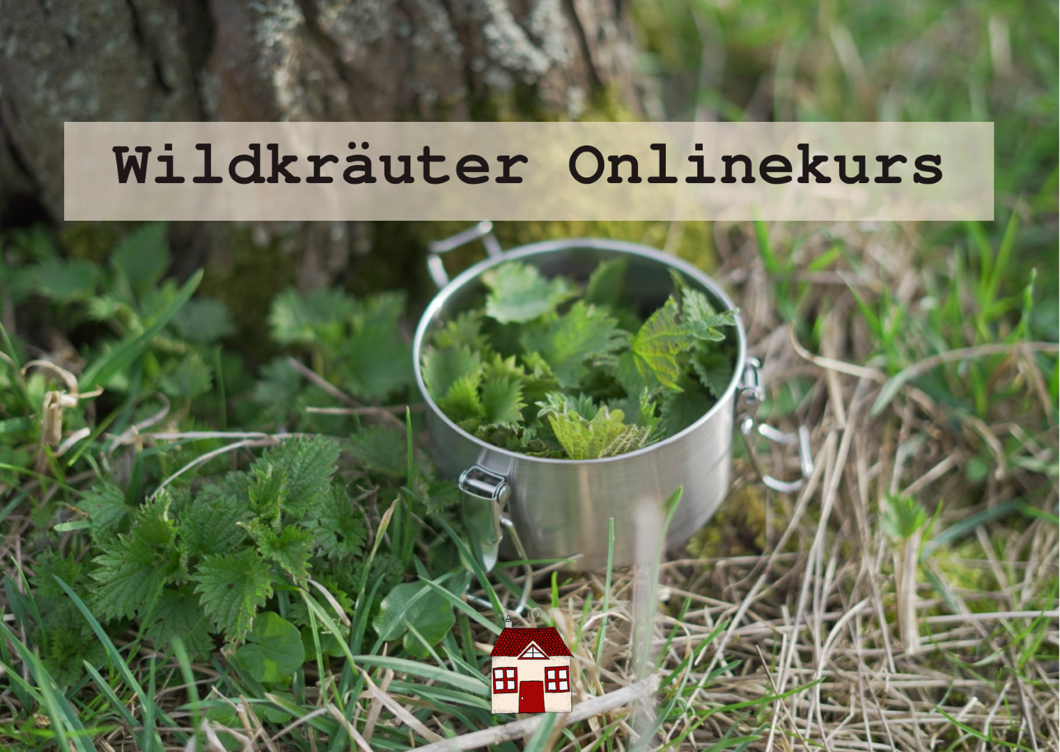 Wildkräuter erkennen, sammeln und verarbeiten