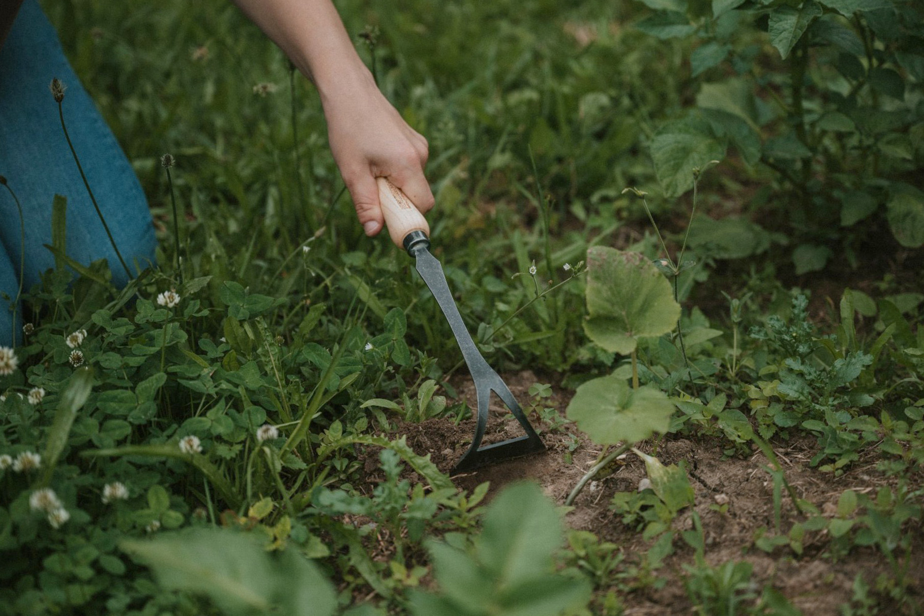 Handgeschmiedeter Handhacke aus der Schmiede von Krumpholz Werkzeuge.
