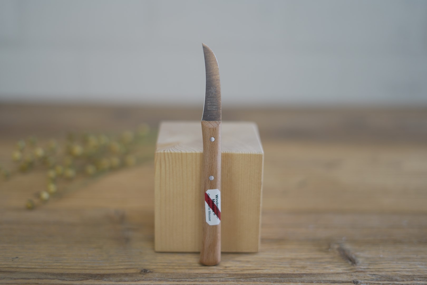 Rostfreies Schälmesser