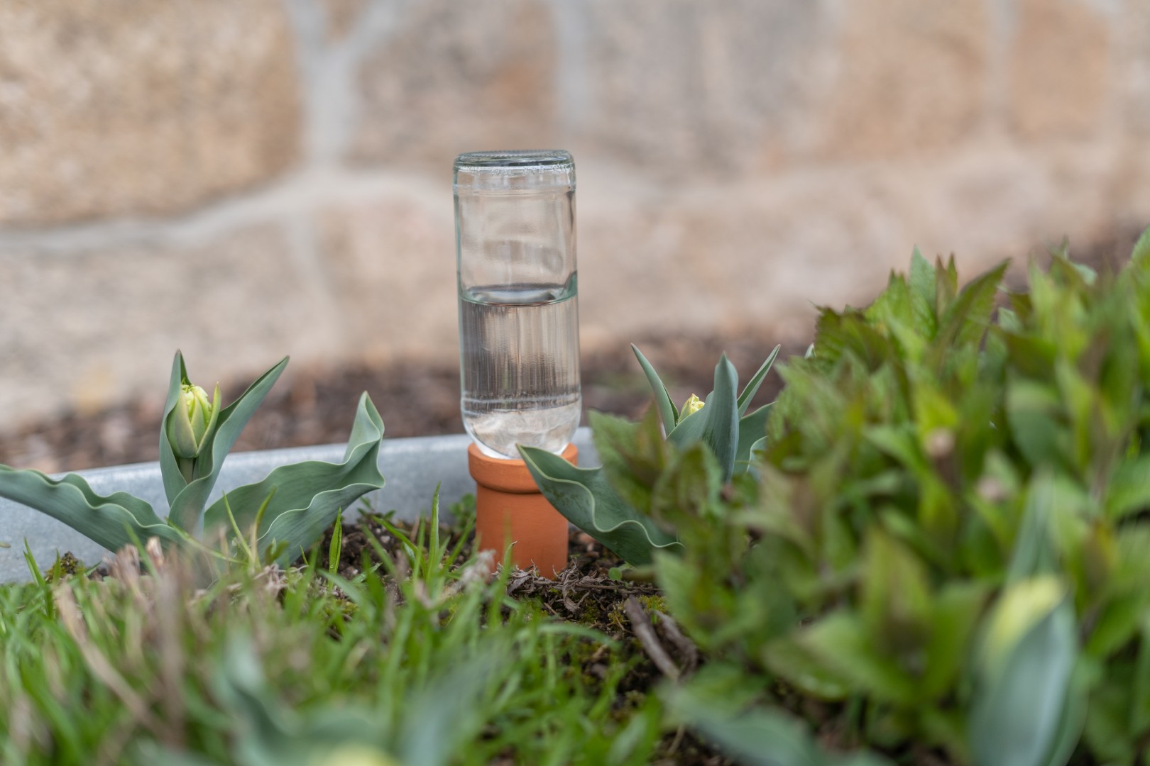 Selbstbewässerung mit Tonkegel