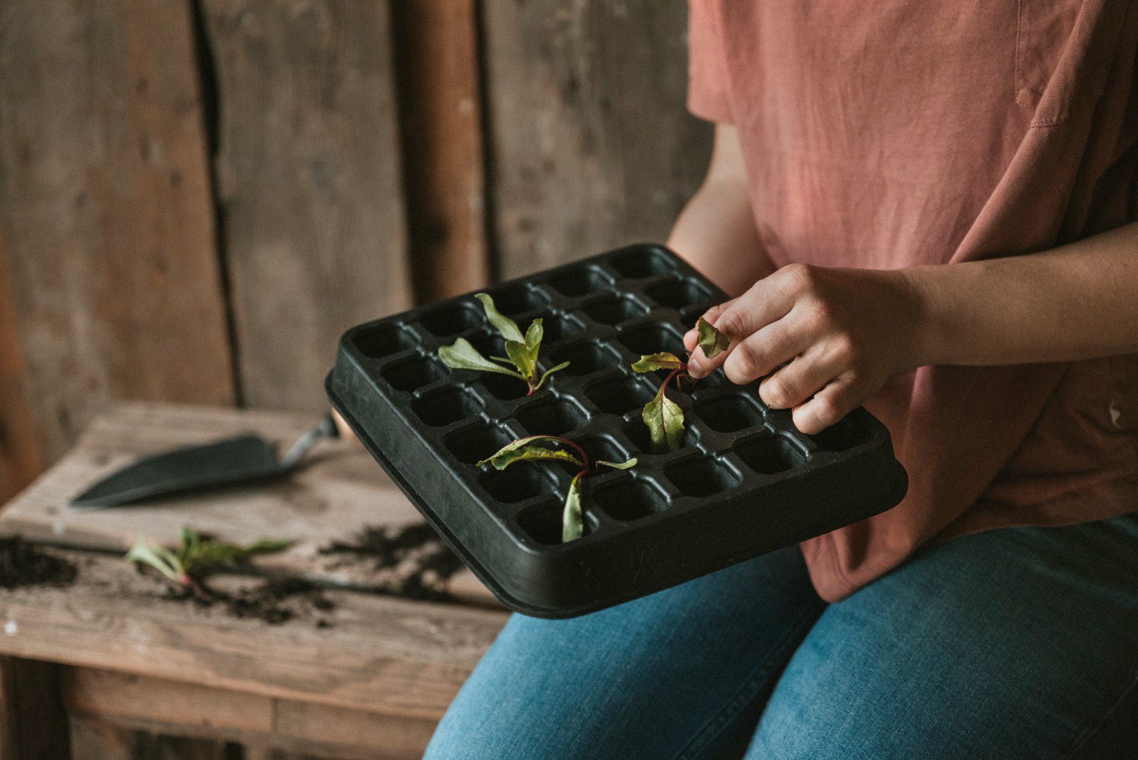 Saatgutschale Plastikfreie Saatgutschale für die Anzucht von Gemüsepflänzchen.