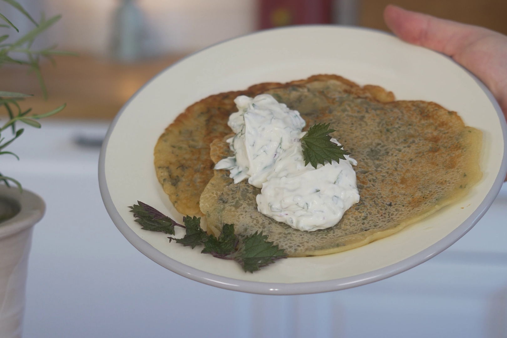 Brennnessel Pfannkuchen auf Emaille Teller mit Quark