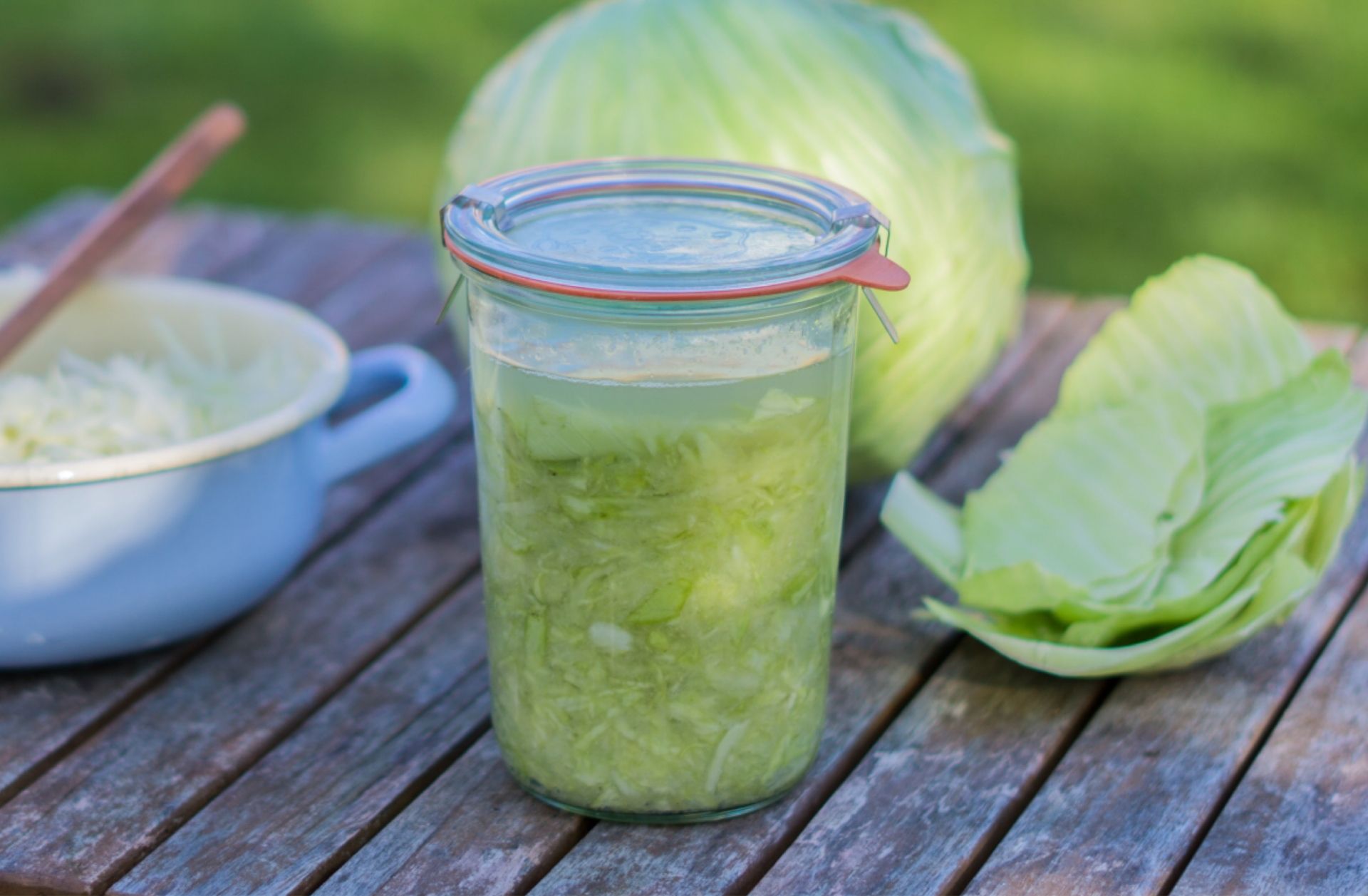 Sauerkraut im Glas fermentieren | DIY | Blog