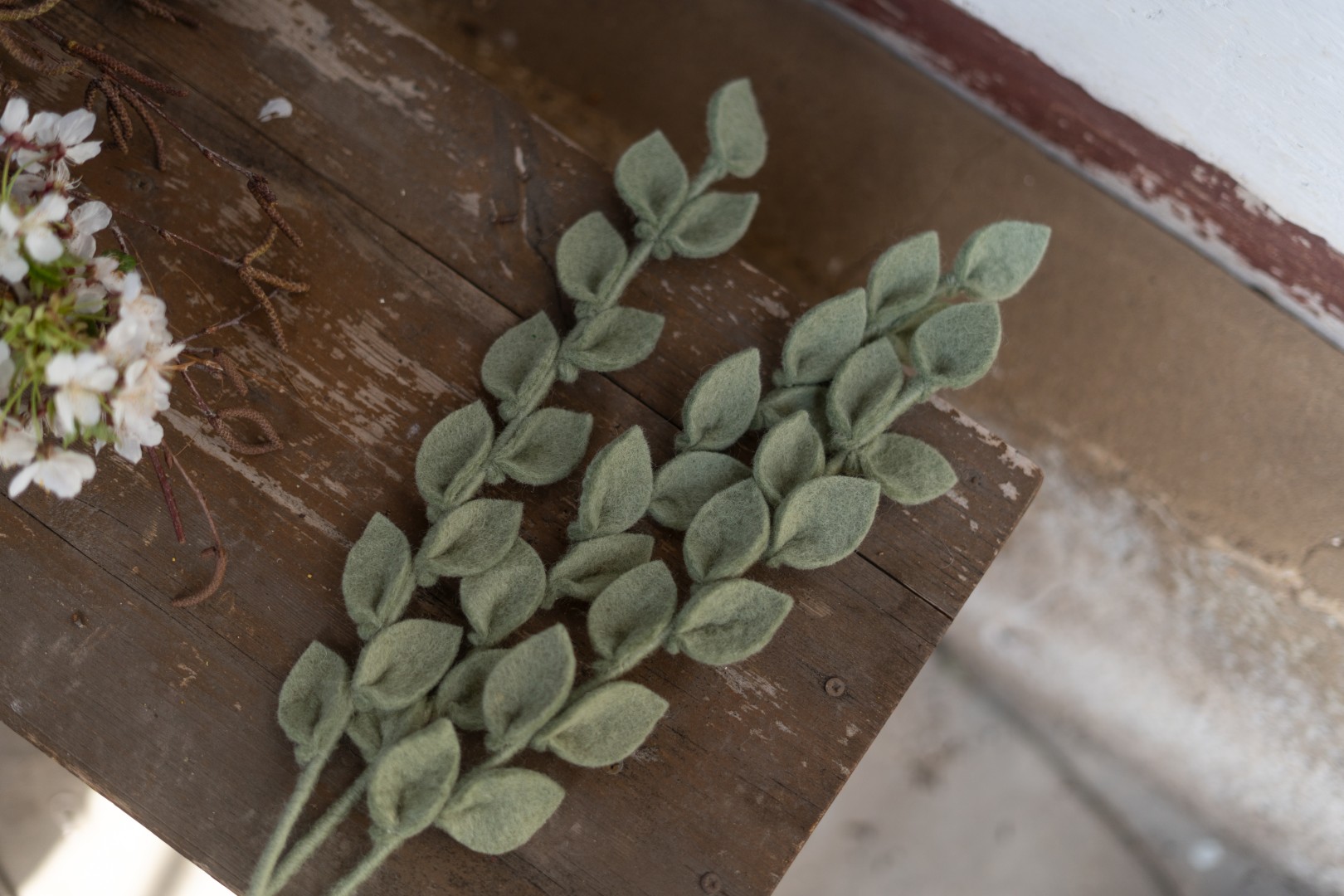 Drei Eukalyptus Zweige als Deko