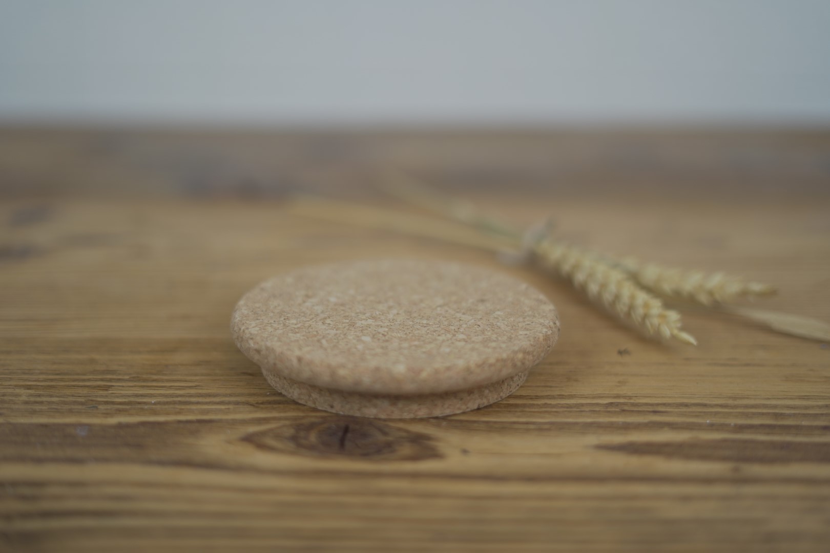 Korkdeckel Sturzglas