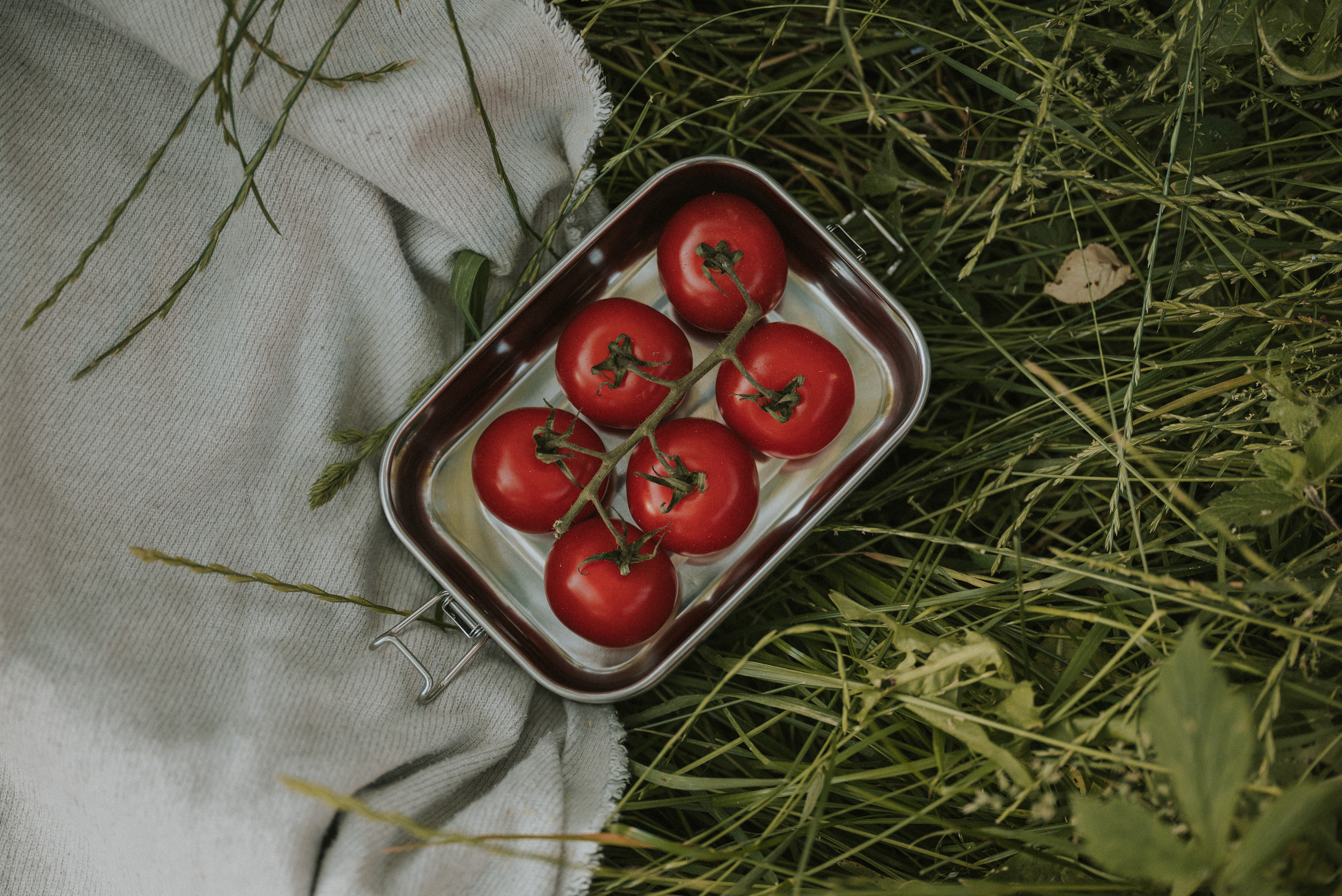 Eco Brotbox Yogi+