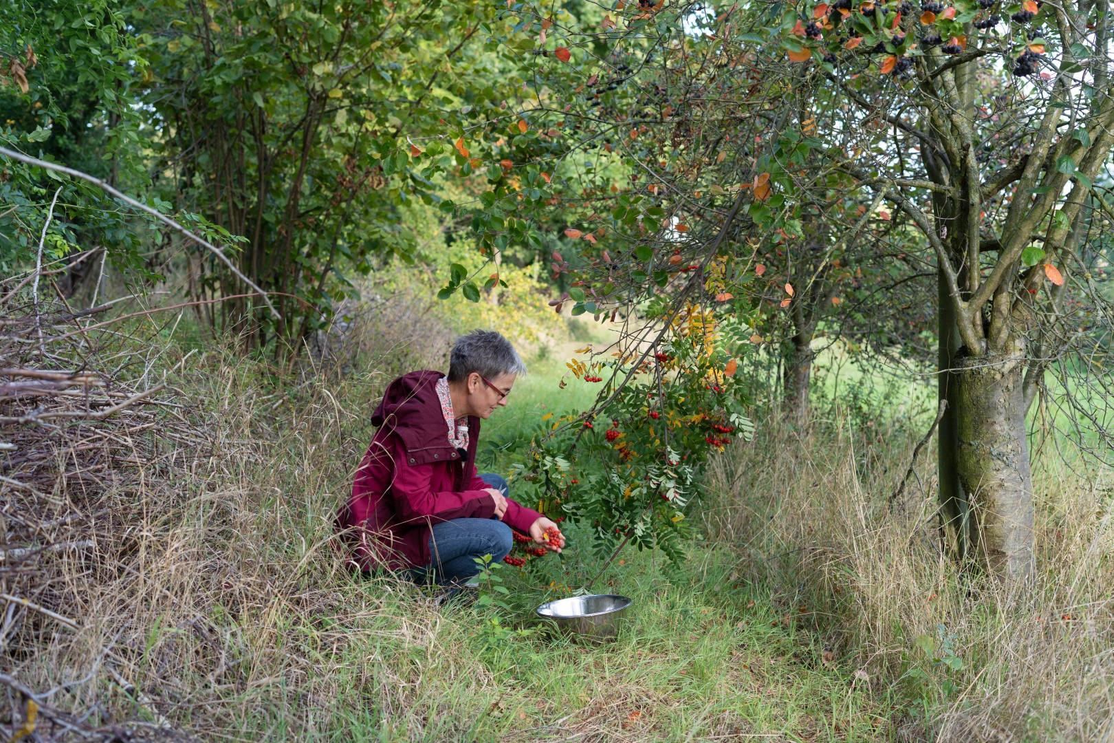 Onlinekurs Kochkurs für Wildkräuter