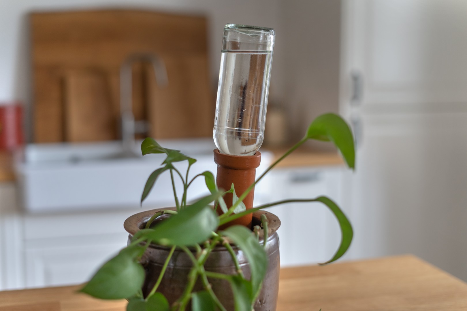 Tonkegel mit Flasche zur Topfbewässerung