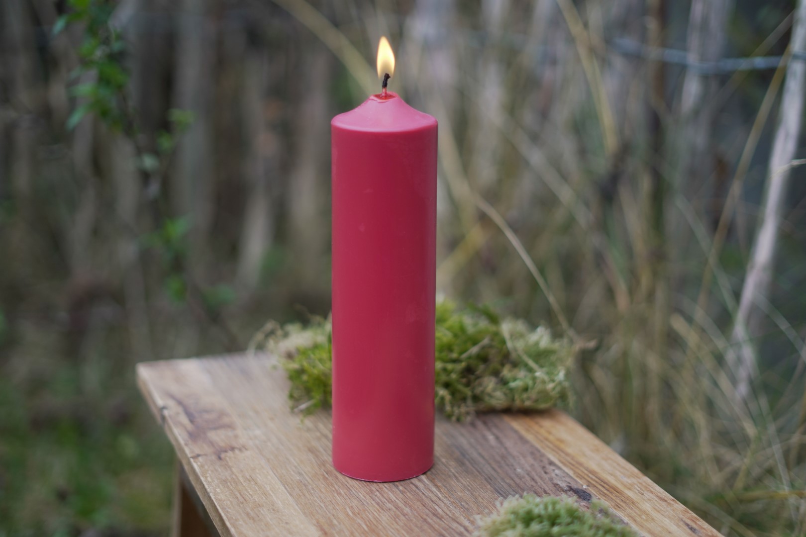 Raps rote Kerze