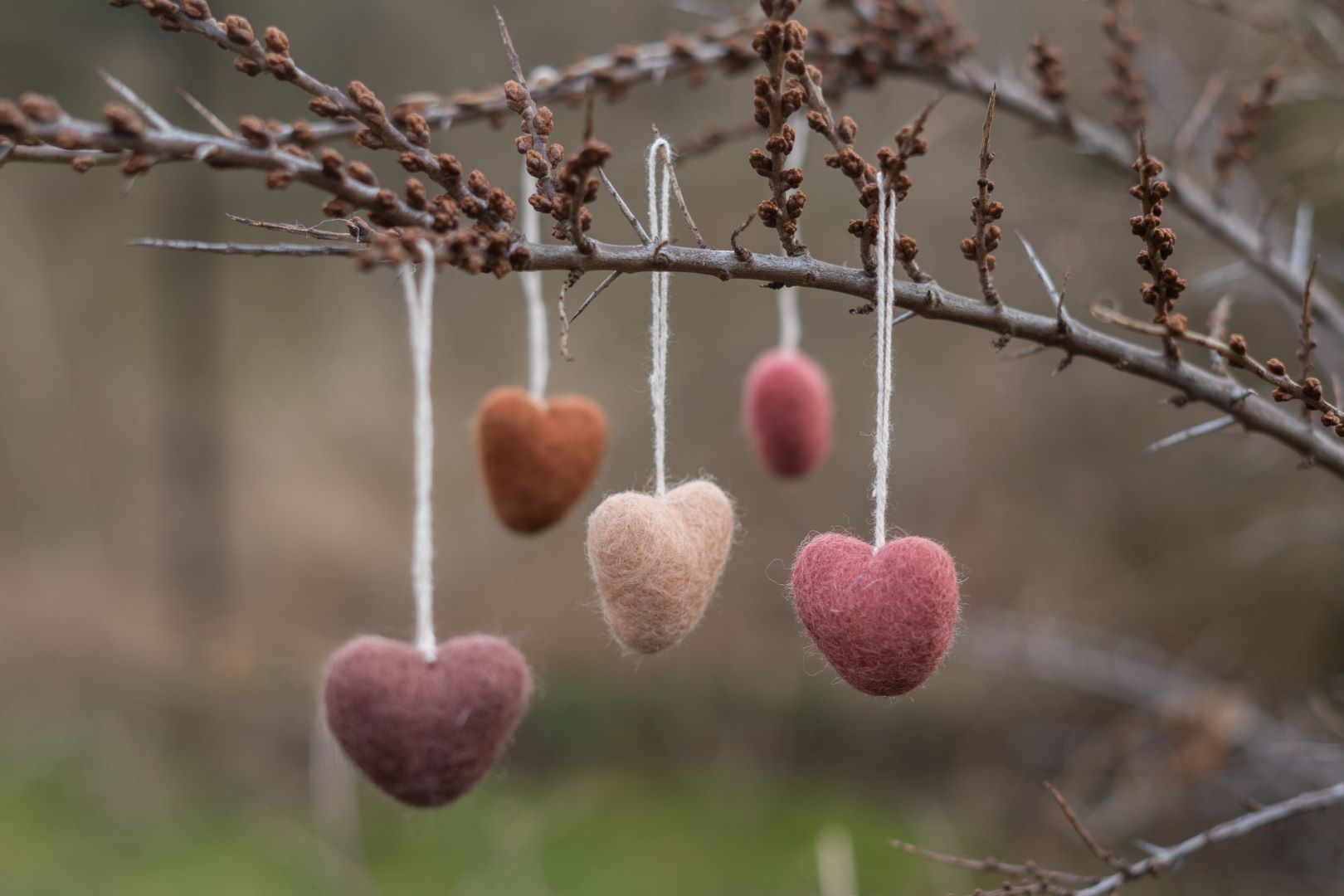 Filz Herzen Anhänger