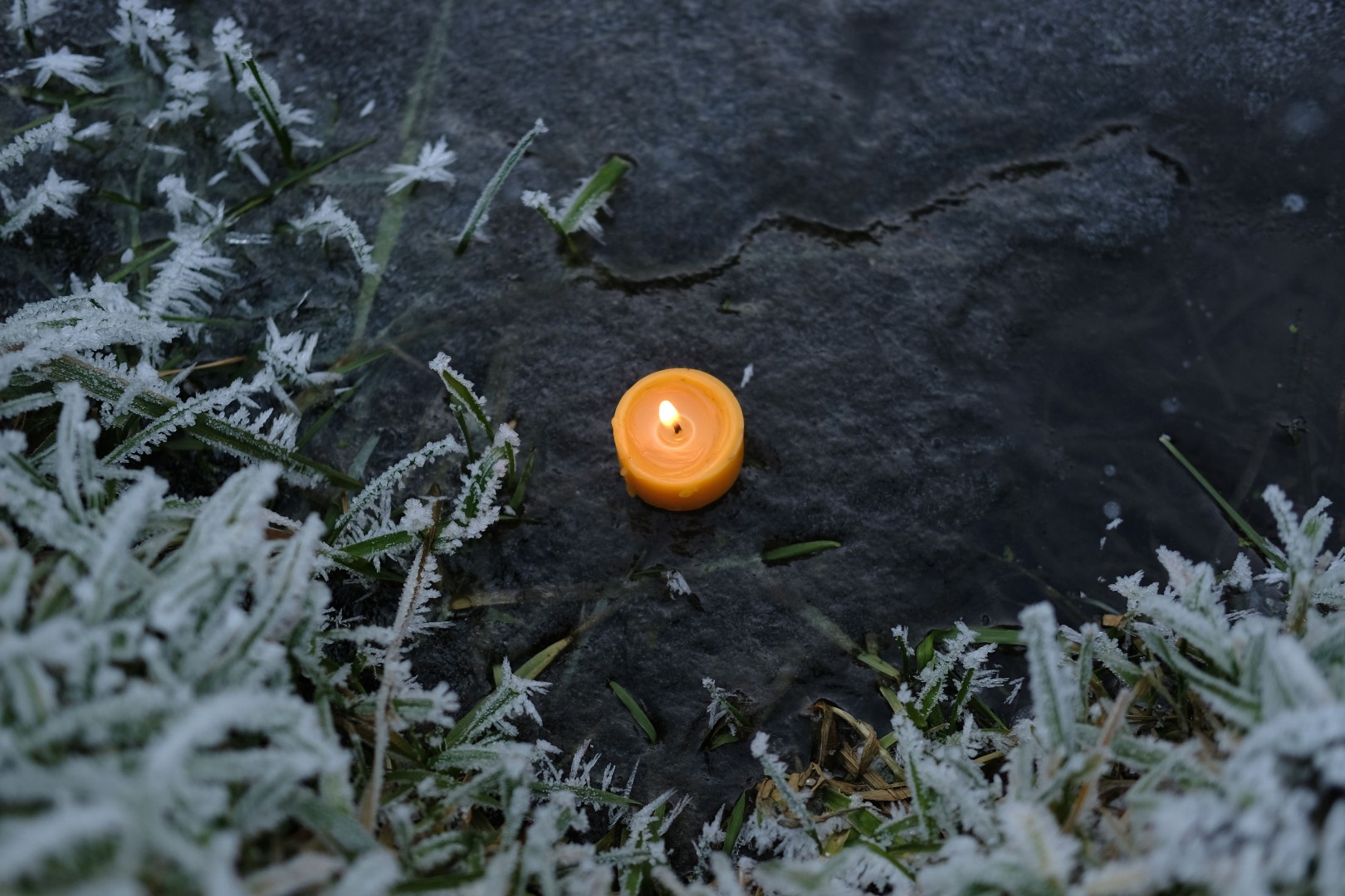 10 Teelichter aus Bienenwachs