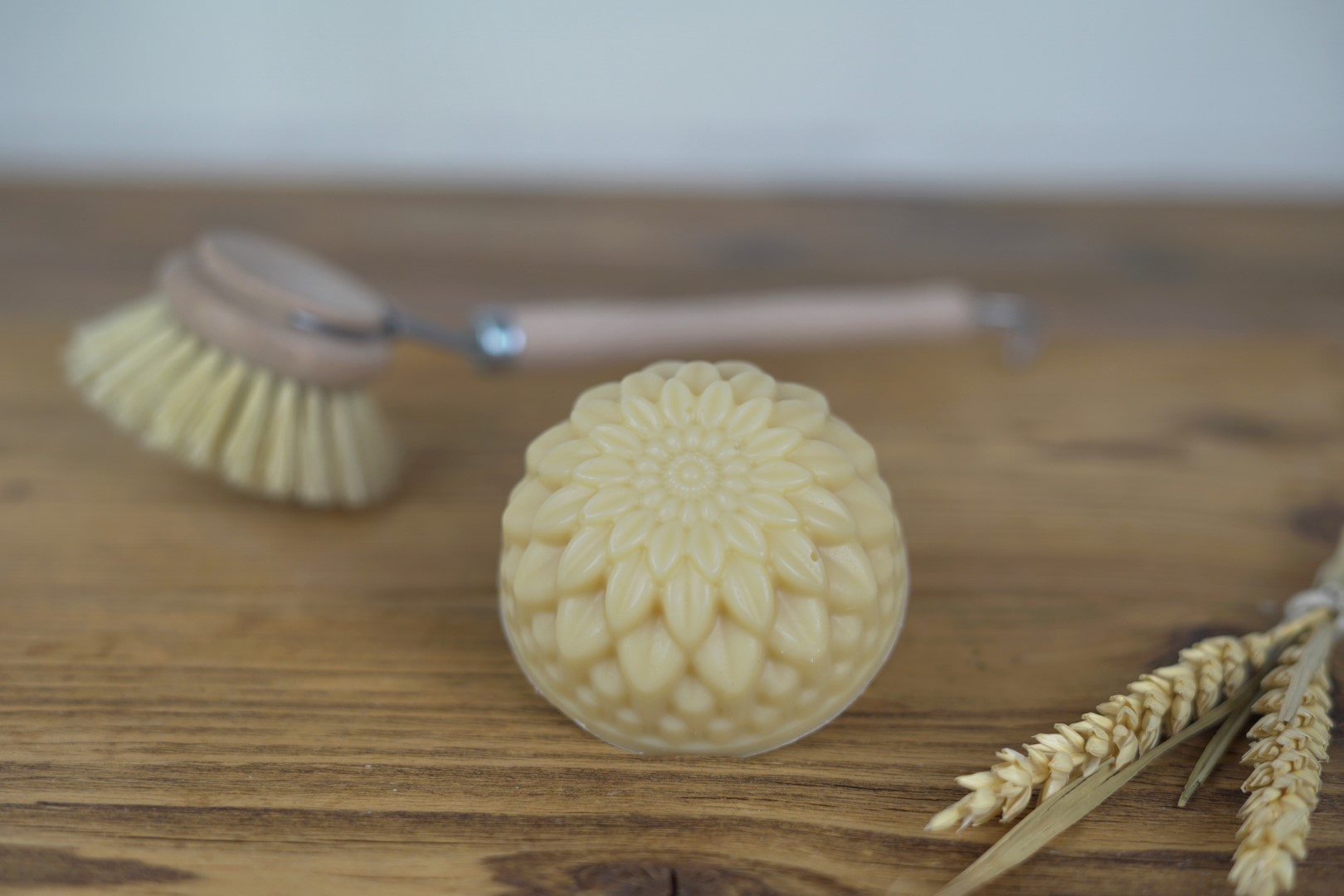 Seifenblume als Spülseife