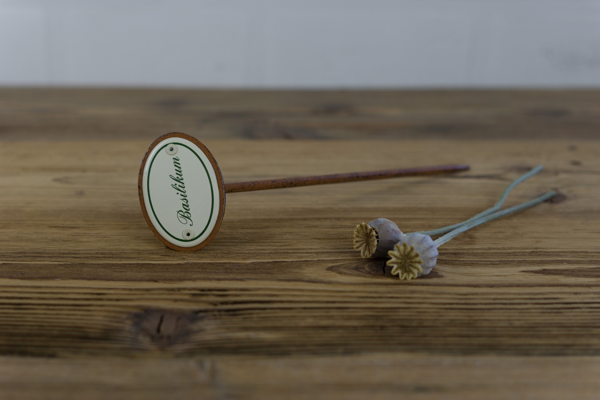 Basilikum Kräuterstecker