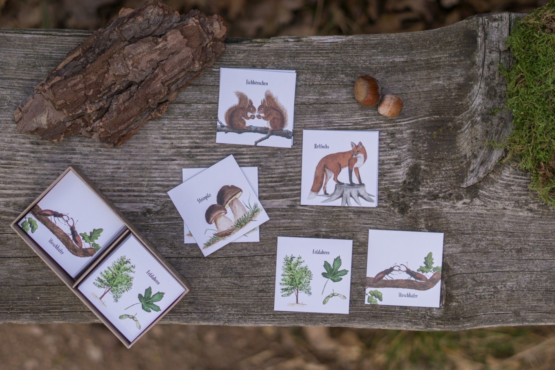 Memory Spiel Waldtiere