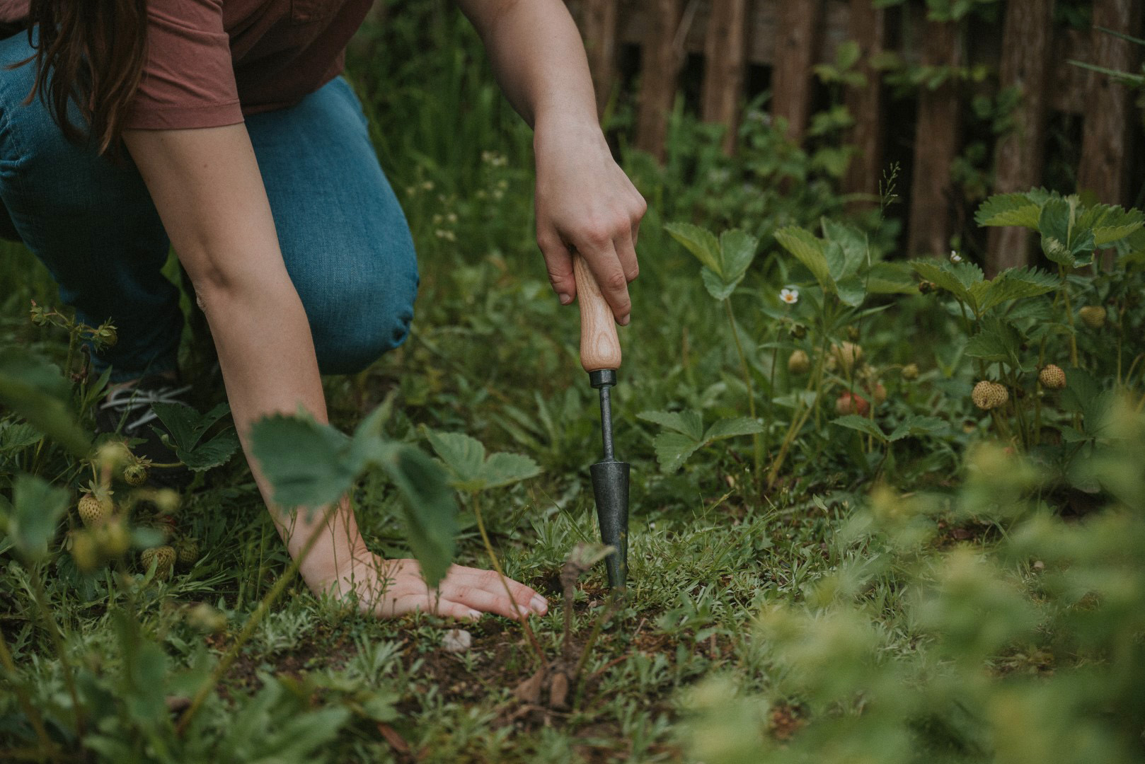 Pflanzlochstecker von Krumpholz Werkzeuge mit einer massiven Stahlspitze. Das Gartengerät setzt Saatgutlöcher im harten Boden.
