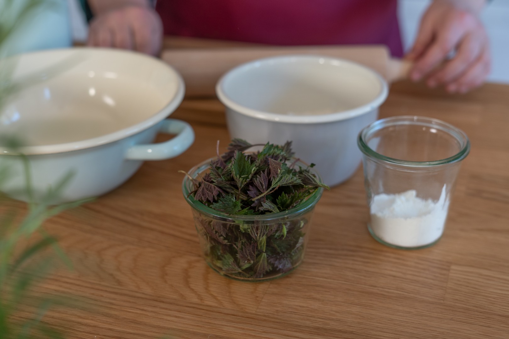 Kochen mit Wildkräutern