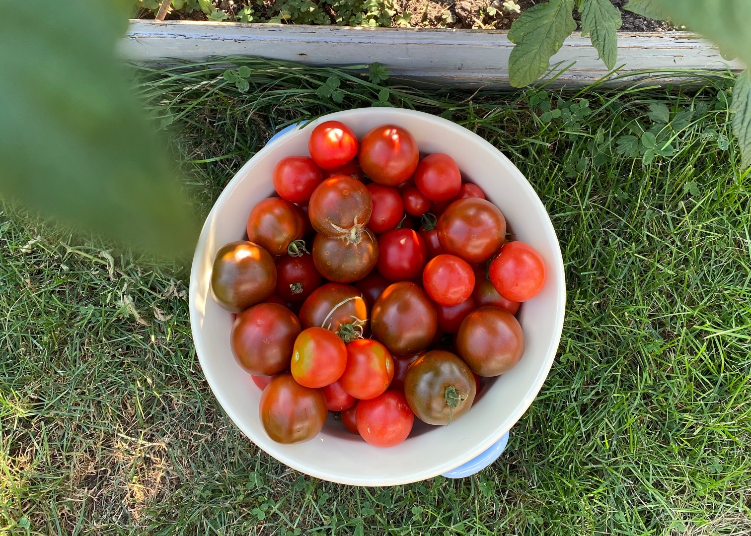 Emaille Weitling mit Tomaten für Soße