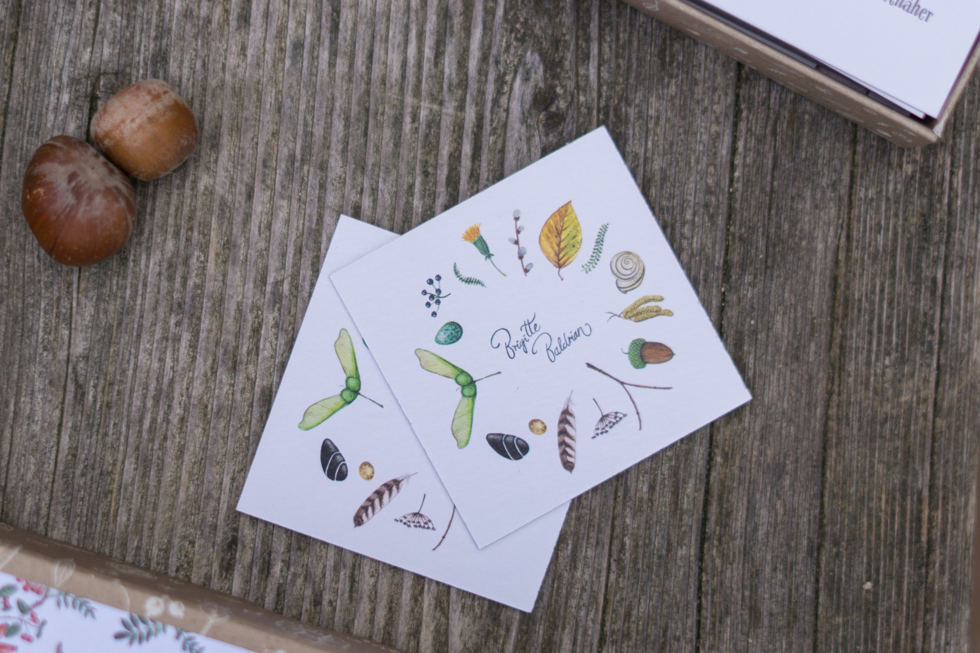 Memory Spiel Brigitte Baldrian