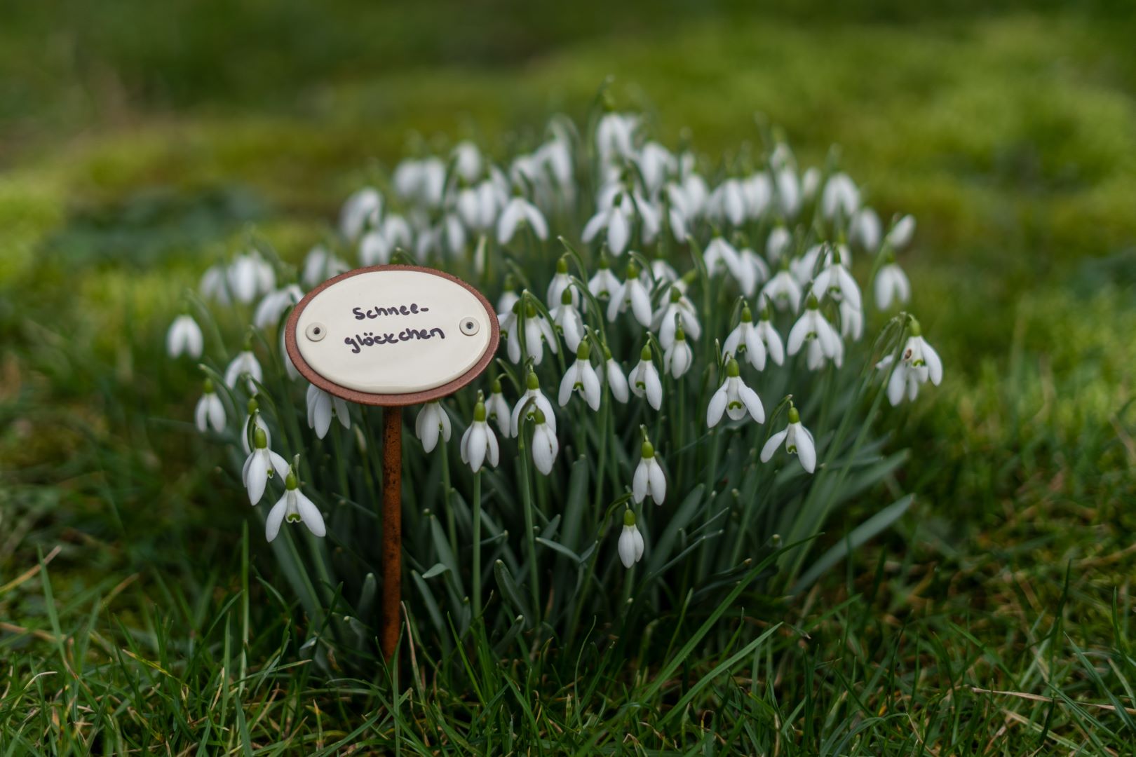 Emaille Gartenstecker