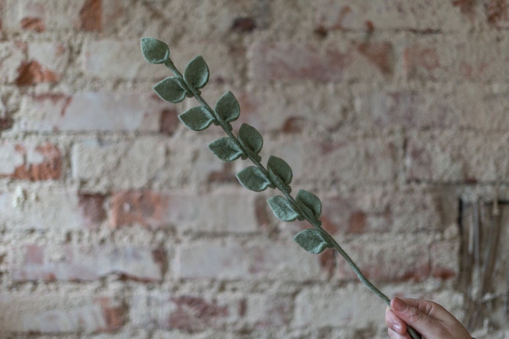 Én Gry & Sif Eukalyptus Zweig einzeln